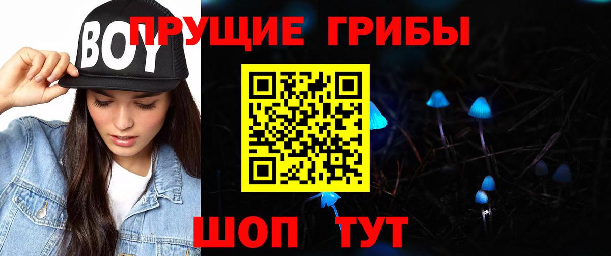 Псилоцибиновые грибы Magic Shrooms  Вход с VPN  Псилоцибиновые грибы Magic Shrooms  Кирово-Чепецк 